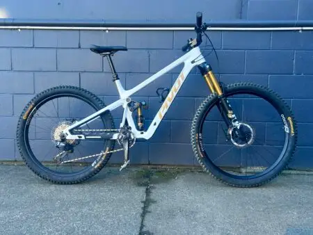 Ex Demo Pivot Firebird V5 Pro XT Di2 LG